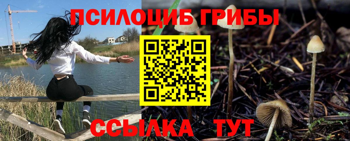 Галлюциногенные грибы MAGIC MUSHROOMS Кудрово