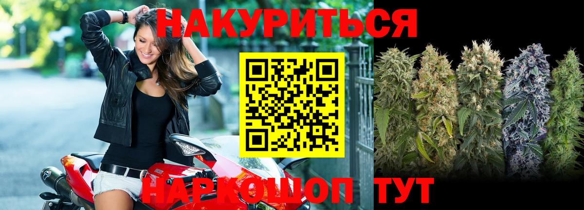 Конопля индика Кудрово