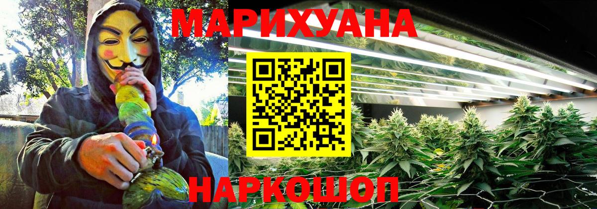 Бошки марихуана ГИДРОПОН  Бошки Шишки тримм  Кудрово  Вход с VPN  Бошки марихуана индика 